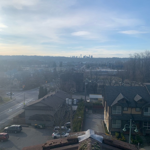 Meet your Posher, Oliver - Picture 1 of 1